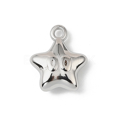 304 Stainless Steel Charms STAS-F327-03E-P-1