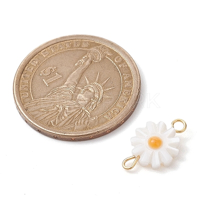 Natural Freshwater Shell Connector Charms PALLOY-JF02443-1