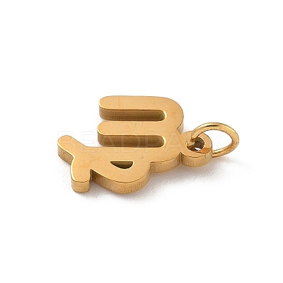 304 Stainless Steel Charms STAS-R001-04G-06-1