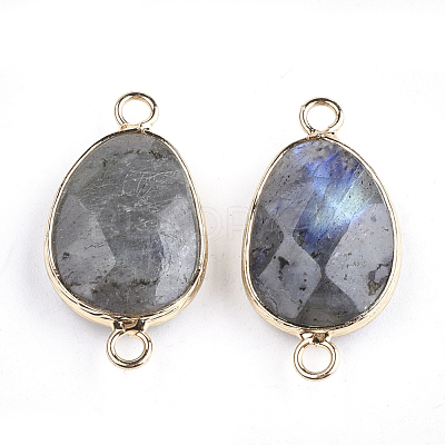 Natural Labradorite Links connectors G-S344-02A-1