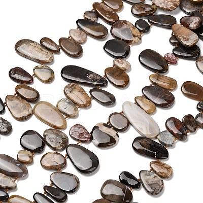 Natural Petrified Wood Beads Strands G-C253-06-1