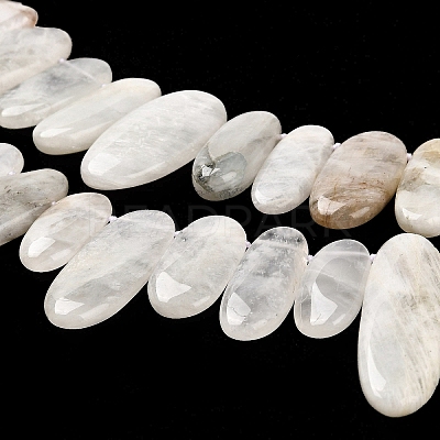 Natural Moonstone Beads Strands G-M408-D03-1