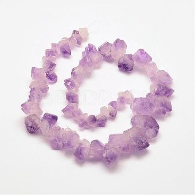 Natural Amethyst Bead Strands G-P267-07-1