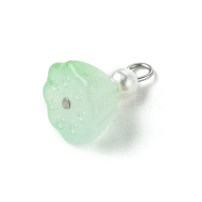 7Pcs Acrylic Charms PALLOY-JF03242-1