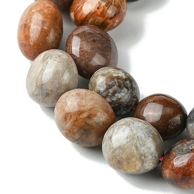 Natural Fossil Coral Beads Strands G-G117-A01-02-1