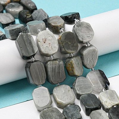 Natural Eagle Eye Stone Beads Strands G-G072-B01-01-1