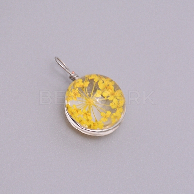Transparent Glass Pendants GLAA-TAC0003-06E-1
