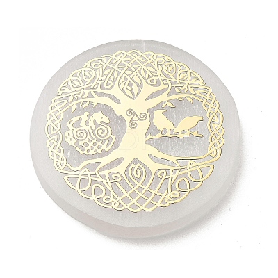 Flat Round Natural Selenite Slice Coasters AJEW-C042-01E-1