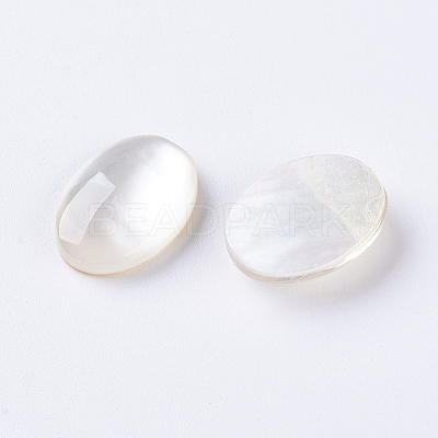 Shell Cabochons X-G-L470-15-1