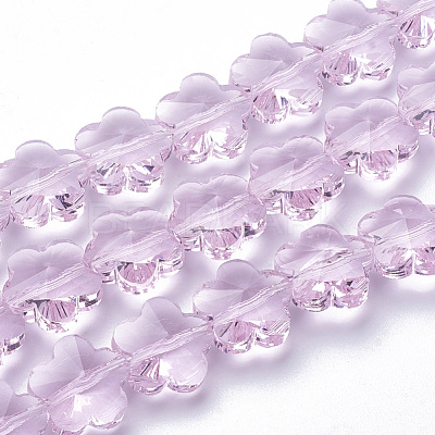 Transparent Glass Beads X-GLAA-Q066-14mm-C16-1