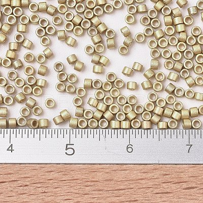 MIYUKI Delica Beads X-SEED-J020-DB0334-1