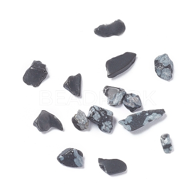 Natural Snowflake Obsidian Chips X-G-D0004-01-1