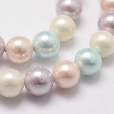 Polished Shell Pearl Bead Strands BSHE-F013-07A-1