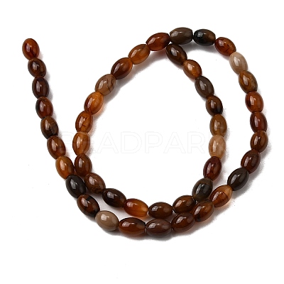 Natural Petrified Wood Beads Strands G-K362-I12-02-1