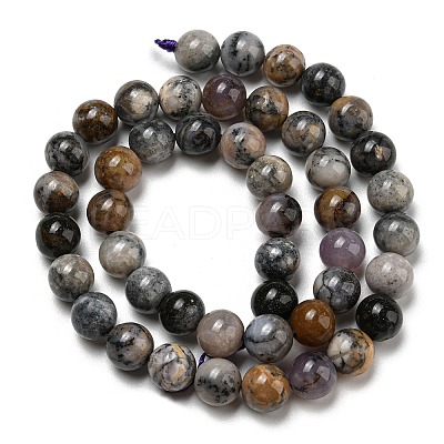 Natural Dendritic Jasper Beads Strands G-R494-A23-03-1