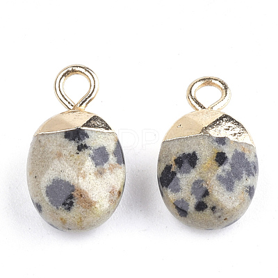 Electroplate Natural Dalmatian Jasper Charms X-G-S344-09C-1