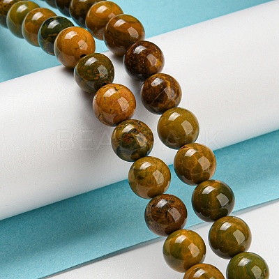 Natural Ocean Jasper Beads Strands G-P503-8MM-07-1