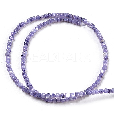 Natural White Shell Dyed Beads Strands BSHE-Z005-03C-1