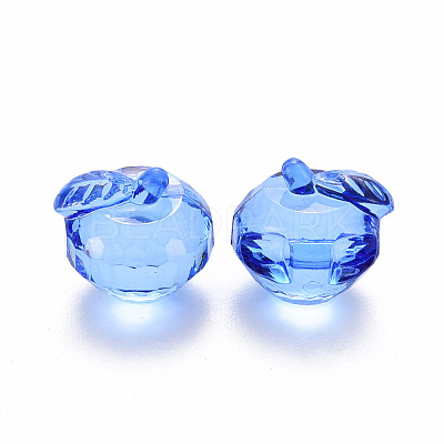 Transparent Acrylic Pendants TACR-T024-05B-940-1