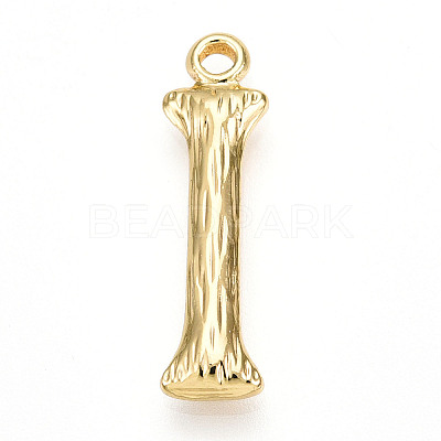 304 Stainless Steel Pendants STAS-N117-01G-I-1