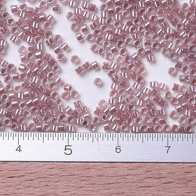 MIYUKI Delica Beads X-SEED-J020-DB0256-1