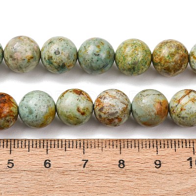 Natural Peruvian Turquoise(Jasper) Beads Strands G-T150-A01-10mm-1