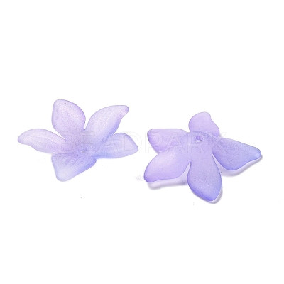 Transparent Acrylic Beads Caps OACR-B022-02A-1