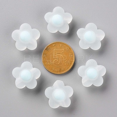 Transparent Acrylic Beads TACR-S152-09C-10-1