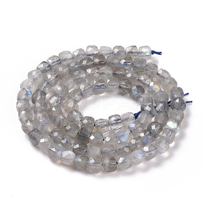 Natural Labradorite Beads Strands G-D0003-B10-1