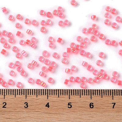 Glass Seed Beads SEED-S042-13A-07-1