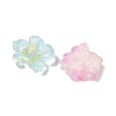 Transparent Resin Cabochons RE-CBA1274-02-1