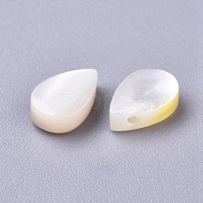 Natural Sea Shell Beads SSHEL-R038-20-1