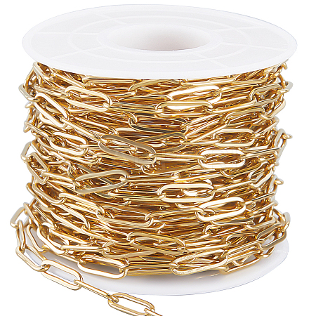 1 Roll PVD Vacuum Plating 304 Stainless Steel Paperclip Chains CHS-BBC0001-08-1