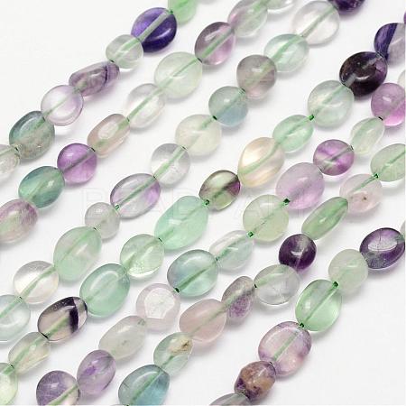 Natural Fluorite Bead Strands G-L459-19-1