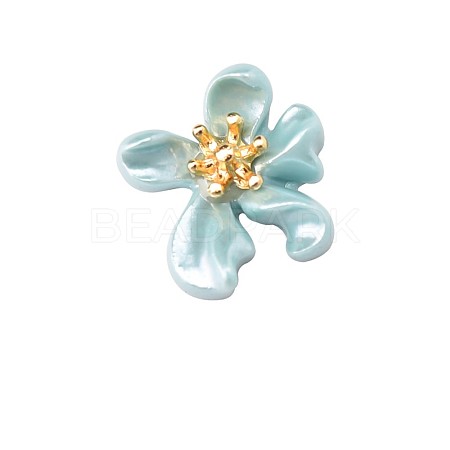 Resin Cabochons MRMJ-R104-01D-1