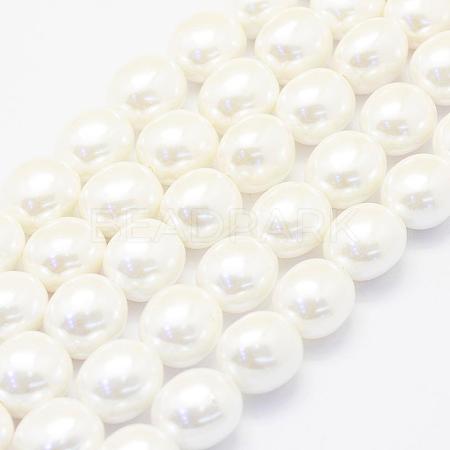Shell Pearl Beads Strands BSHE-P024-15-1