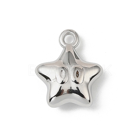 304 Stainless Steel Charms STAS-F327-03E-P-1