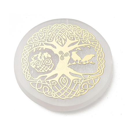 Flat Round Natural Selenite Slice Coasters AJEW-C042-01E-1