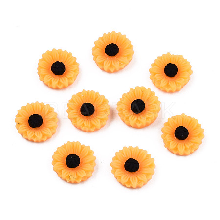 Opaque Resin Cabochons CRES-S307-005A-1