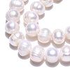 Natural Cultured Freshwater Pearl Beads Strands X-PEAR-N013-17N-01-4