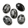 Natural Snowflake Obsidian Cabochons G-C115-01A-35-1