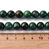 Natural Fuchsite Beads Strands G-K393-A02-10mm-5