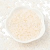 Frosted Glass Beads FGLA-D300-01L-2