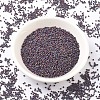 MIYUKI Delica Beads SEED-X0054-DB0884-2