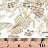 Plated Glass Bugle Beads SEED-S046-01B-22-4