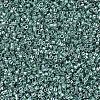 MIYUKI Delica Beads SEED-MY11-DB0416-3