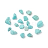 Synthetic Turquoise Beads G-F722-03-1