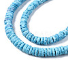 Natural Sea Shell Beads Strands SSHEL-N032-22B-3