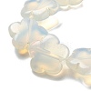 Opalite Beads Strands G-F769-E01-02-4