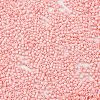 Baking Paint Glass Seed Beads X-SEED-S042-05B-85-3